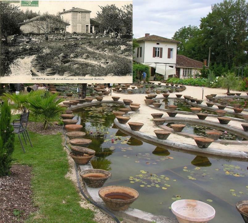 Gärtnerei heute und um 1900